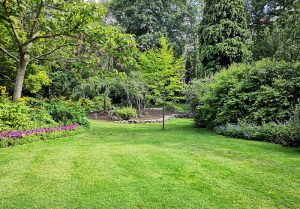 Optimiser l'expérience du jardin à Ottwiller